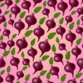 Kalte Rote Bete Schalle Rezept